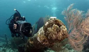 Disertan sobre Patrimonio Cultural Subacuático