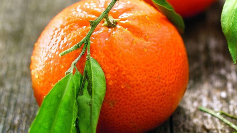 mandarina