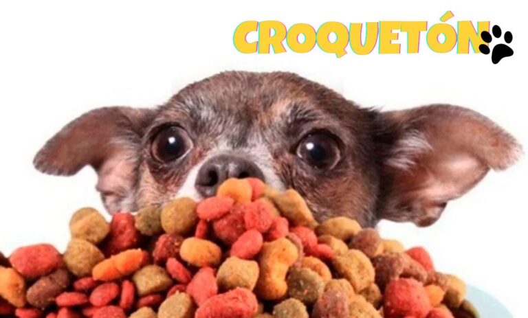 croqueton
