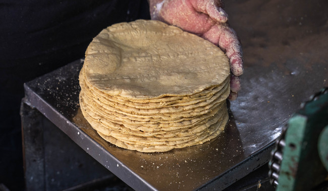 tortilla
