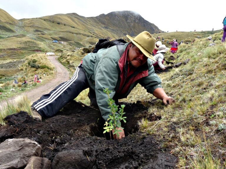 Restauración Ambiental