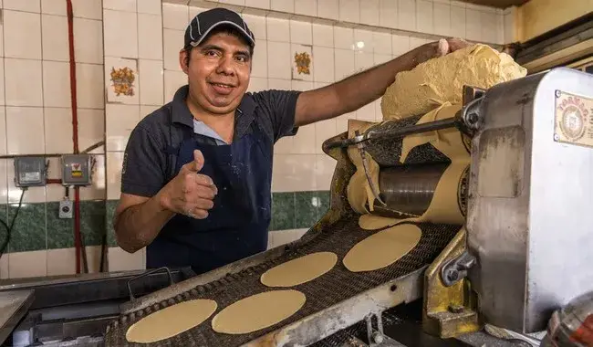 tortilla