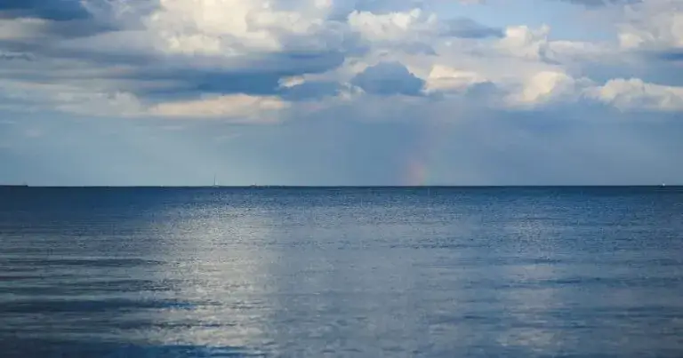 Cruzará Sailing for Prosperity el Pacífico Norte rumbo al Ártico.