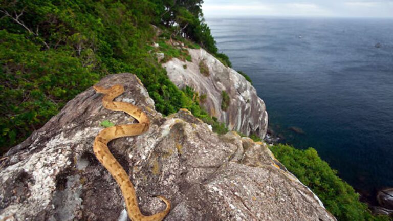 islas