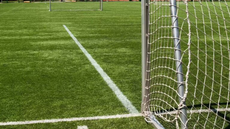 canchas