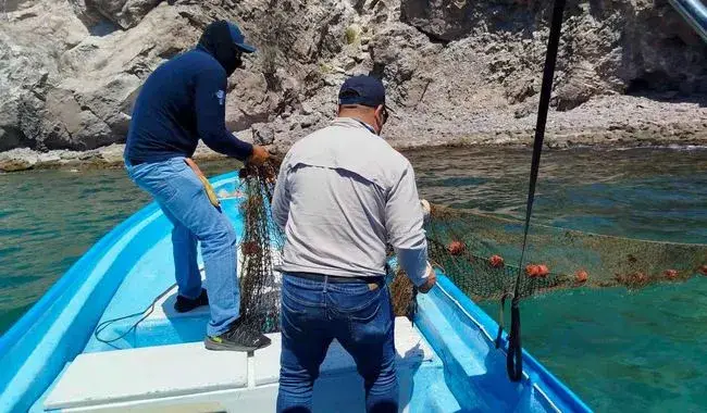 pesquero