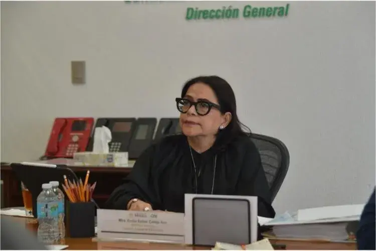 cfe atención