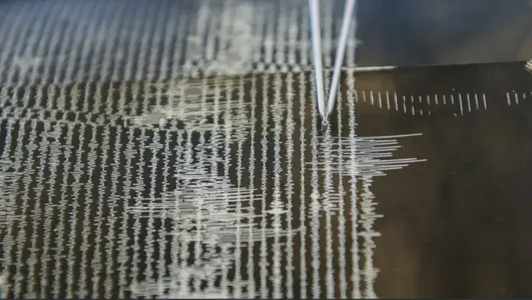 sismo 85