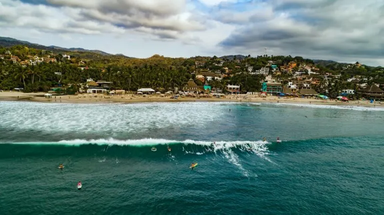 surf