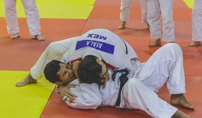 judo